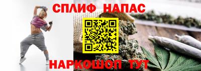 дживик Будённовск