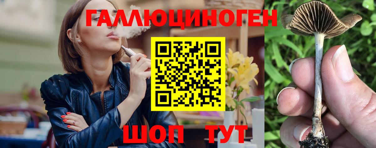 Псилоцибиновые грибы прущие грибы Северск